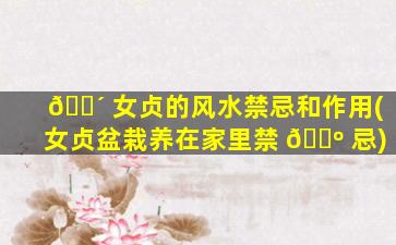 🐴 女贞的风水禁忌和作用(女贞盆栽养在家里禁 🐺 忌)